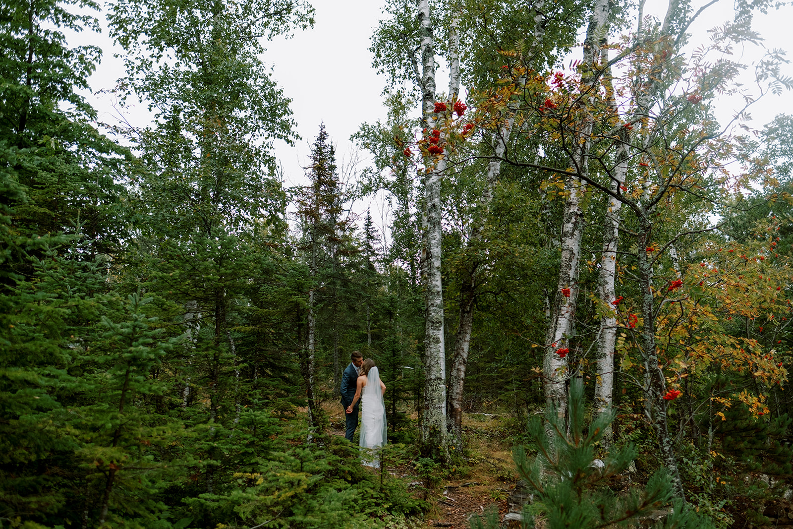Heartfelt Fall Wedding on Lake Superior, bride and groom are kissing in the middle distance, surrounded by lush green trees.